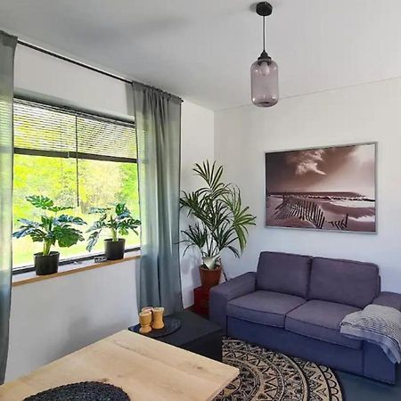 Studio Tussen De Bossen En De Bollenvelden ノールトウェイケルハウト　 エクステリア 写真